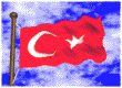 bayrakgok.gif (42045 bytes)