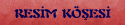 resim.gif (1538 bytes)
